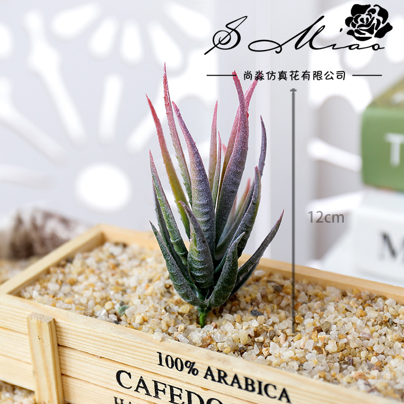 ウスマート バンマルー ファイ 人工多肉植物 DIYフラワー - Succulent Arrangement Mini のレビューと価格