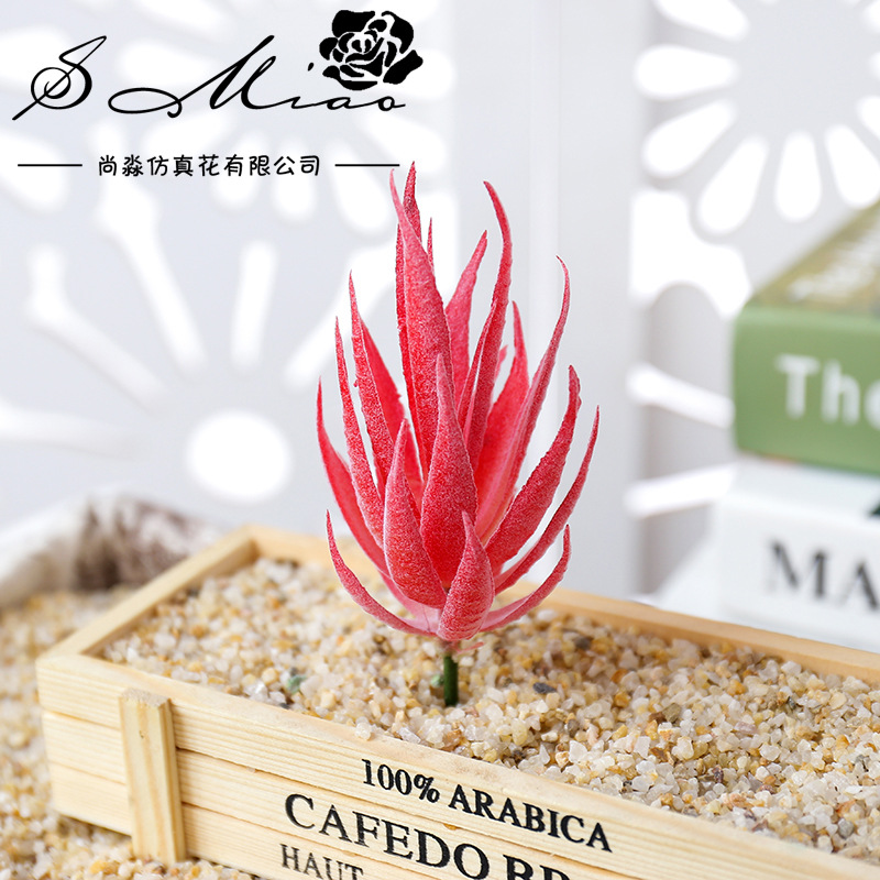 ウスマート バンマルー ファイ 人工多肉植物 DIYフラワー - Succulent Arrangement Mini のレビューと価格
