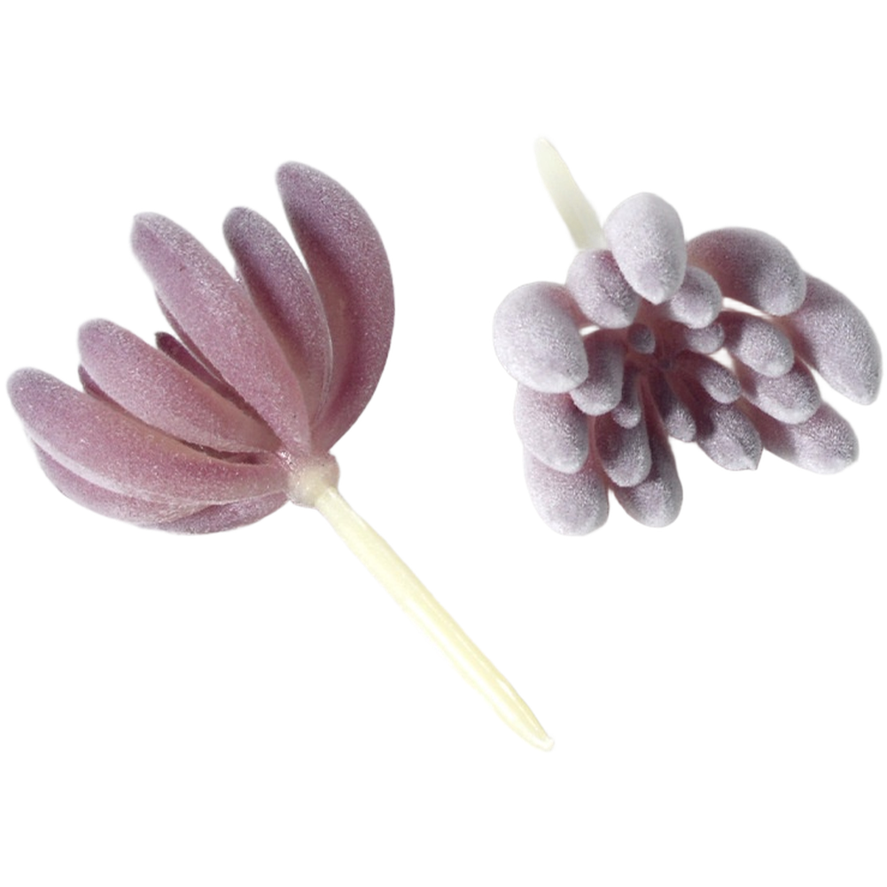 PVCフロッキング加工の紫色のフェイク多肉植物、狭いスペース - Succulent Arrangement Mini のレビューと価格