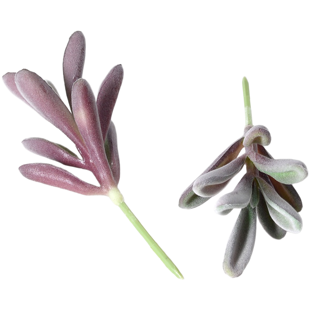 PVCフロッキング加工の紫色のフェイク多肉植物、狭いスペース - Succulent Arrangement Mini のレビューと価格
